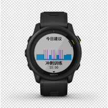 Forerunner 745